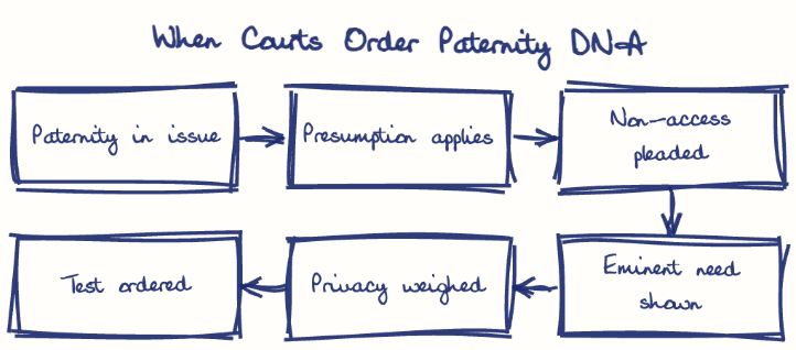 Hand-drawn diagram: When Courts Order Paternity DNA. When Courts Order Paternity DNA. Flow: Paternity in issue → Presumption applies → Non-access pleaded → Eminent need shown → Privacy weighed → Test ordered