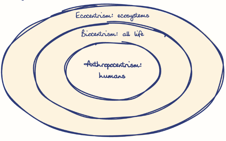 Hand-drawn diagram: Expanding Moral Circle. Concentric rings, outer to inner: Ecocentrism: ecosystems, Biocentrism: all life, Anthropocentrism: humans
