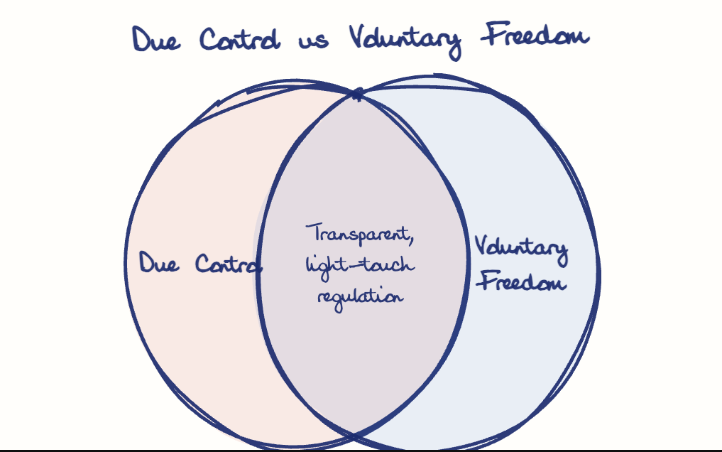 Hand-drawn diagram: Due Control vs Voluntary Freedom. Due Control vs Voluntary Freedom. Venn diagram: Due Control, Voluntary Freedom; overlap: Transparent, light-touch regulation