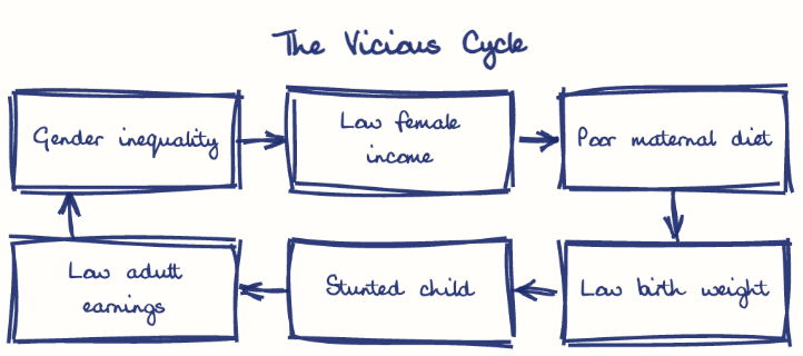Hand-drawn diagram: The Vicious Cycle. The Vicious Cycle. Flow: Gender inequality → Low female income → Poor maternal diet → Low birth weight → Stunted child → Low adult earnings → (back to start)