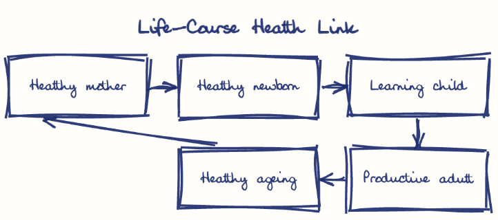 Hand-drawn diagram: Life-Course Health Link. Life-Course Health Link. Flow: Healthy mother → Healthy newborn → Learning child → Productive adult → Healthy ageing → (back to start)