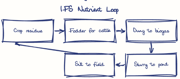 Hand-drawn diagram: IFS Nutrient Loop. IFS Nutrient Loop. Flow: Crop residue → Fodder for cattle → Dung to biogas → Slurry to pond → Silt to field → (back to start)