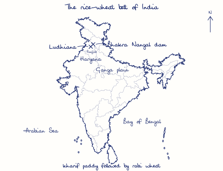 Hand-drawn map: The rice-wheat belt of India. Marked: Bhakra Nangal dam, Ludhiana.