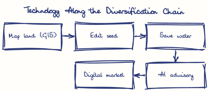 Hand-drawn diagram: Technology Along the Diversification Chain. Technology Along the Diversification Chain. Flow: Map land (GIS) → Edit seed → Save water → AI advisory → Digital market