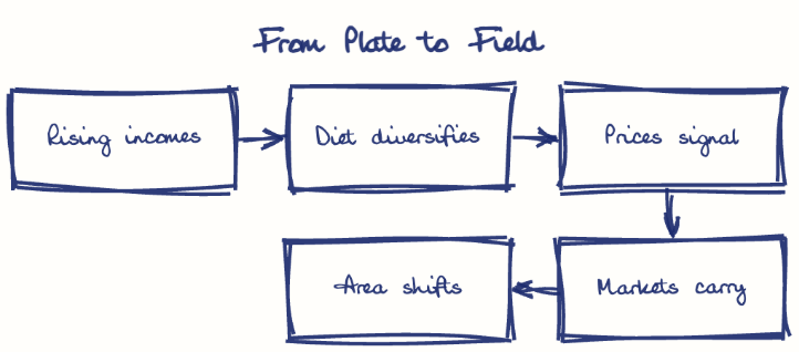 Hand-drawn diagram: From Plate to Field. From Plate to Field. Flow: Rising incomes → Diet diversifies → Prices signal → Markets carry → Area shifts