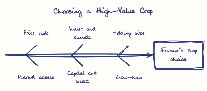 Hand-drawn diagram: Choosing a High-Value Crop. Choosing a High-Value Crop. Diagram (fishbone): Choosing a High-Value Crop; Farmer's crop choice; Price risk; Market access; Water and climate; Capital and credit; Holding size; Know-how
