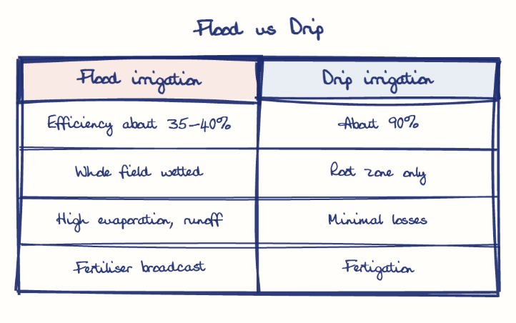 Hand-drawn diagram: Flood vs Drip. Flood vs Drip. Comparison of Flood irrigation and Drip irrigation