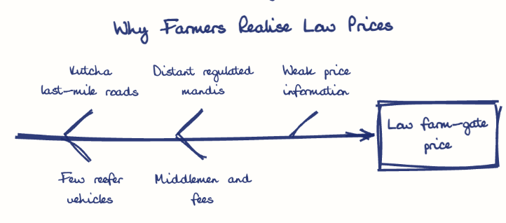 Hand-drawn diagram: Why Farmers Realise Low Prices. Why Farmers Realise Low Prices. Diagram (fishbone): Why Farmers Realise Low Prices; Low farm-gate price; Kutcha last-mile roads; Few reefer vehicles; Distant regulated mandis; Middlemen and fees; Weak price information