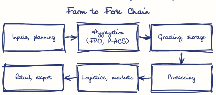 Hand-drawn diagram: Farm to Fork Chain. Farm to Fork Chain. Flow: Inputs, planning → Aggregation (FPO, PACS) → Grading, storage → Processing → Logistics, markets → Retail, export