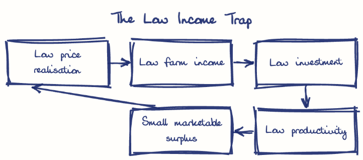 Hand-drawn diagram: The Low Income Trap. The Low Income Trap. Flow: Low price realisation → Low farm income → Low investment → Low productivity → Small marketable surplus → (back to start)