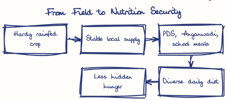 Hand-drawn diagram: From Field to Nutrition Security. From Field to Nutrition Security. Flow: Hardy rainfed crop → Stable local supply → PDS, Anganwadi, school meals → Diverse daily diet → Less hidden hunger