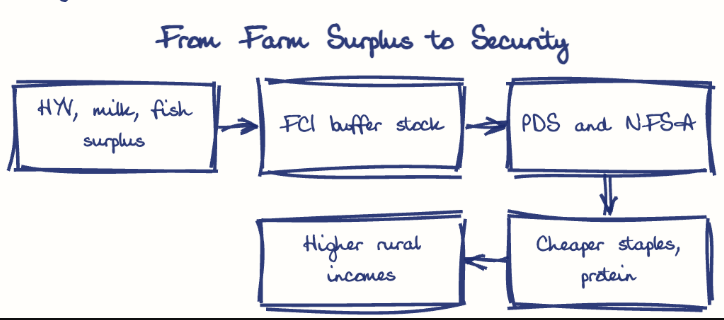 Hand-drawn diagram: From Farm Surplus to Security. From Farm Surplus to Security. Flow: HYV, milk, fish surplus → FCI buffer stock → PDS and NFSA → Cheaper staples, protein → Higher rural incomes