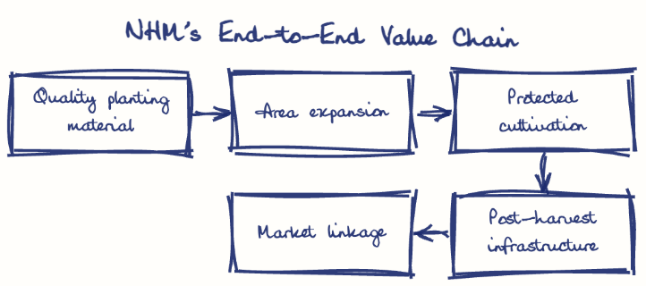 Hand-drawn diagram: NHM's End-to-End Value Chain. NHM's End-to-End Value Chain. Flow: Quality planting material → Area expansion → Protected cultivation → Post-harvest infrastructure → Market linkage