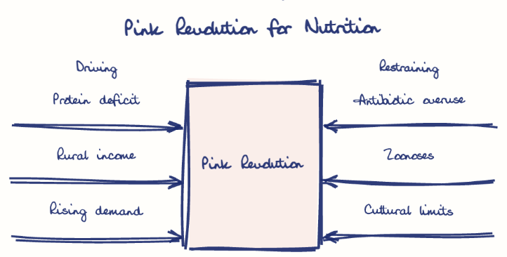 Hand-drawn diagram: Pink Revolution for Nutrition. Pink Revolution for Nutrition. Diagram (forcefield): Pink Revolution for Nutrition; Pink Revolution; Protein deficit; Rural income; Rising demand; Antibiotic overuse; Zoonoses; Cultural limits