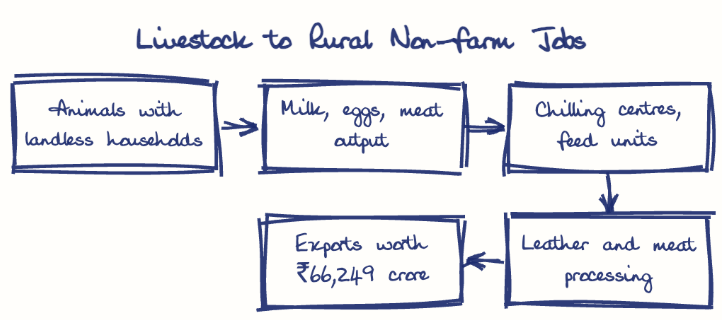 Hand-drawn diagram: Livestock to Rural Non-farm Jobs. Livestock to Rural Non-farm Jobs. Flow: Animals with landless households → Milk, eggs, meat output → Chilling centres, feed units → Leather and meat processing → Exports worth ₹66,249 crore