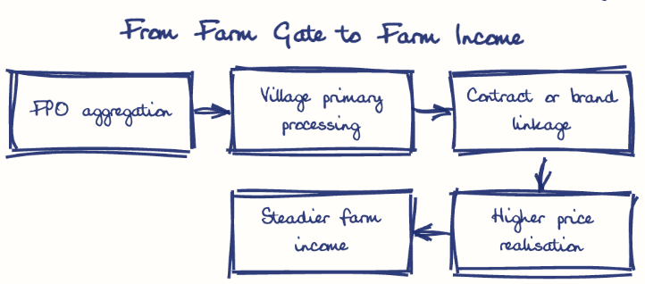 Hand-drawn diagram: From Farm Gate to Farm Income. From Farm Gate to Farm Income. Flow: FPO aggregation → Village primary processing → Contract or brand linkage → Higher price realisation → Steadier farm income