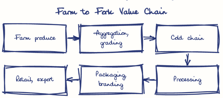Hand-drawn diagram: Farm to Fork Value Chain. Farm to Fork Value Chain. Flow: Farm produce → Aggregation, grading → Cold chain → Processing → Packaging, branding → Retail, export