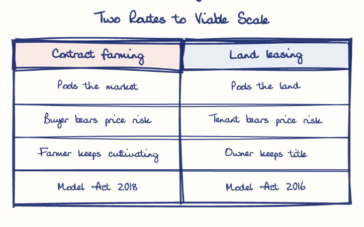 Hand-drawn diagram: Two Routes to Viable Scale. Two Routes to Viable Scale. Comparison of Contract farming and Land leasing
