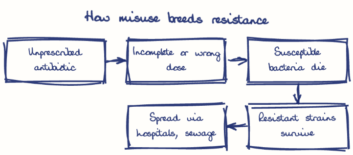 Hand-drawn diagram: How misuse breeds resistance. How misuse breeds resistance. Flow: Unprescribed antibiotic → Incomplete or wrong dose → Susceptible bacteria die → Resistant strains survive → Spread via hospitals, sewage