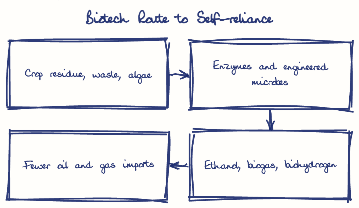 Hand-drawn diagram: Biotech Route to Self-reliance. Biotech Route to Self-reliance. Flow: Crop residue, waste, algae → Enzymes and engineered microbes → Ethanol, biogas, biohydrogen → Fewer oil and gas imports