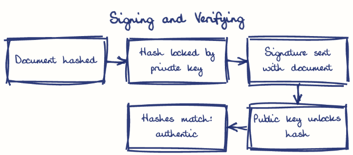 Hand-drawn diagram: Signing and Verifying. Signing and Verifying. Flow: Document hashed → Hash locked by private key → Signature sent with document → Public key unlocks hash → Hashes match: authentic