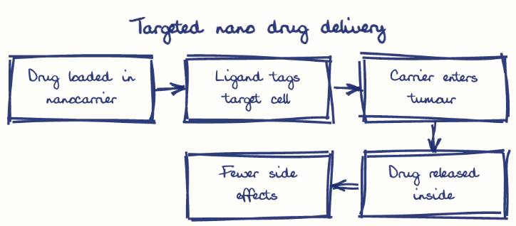 Hand-drawn diagram: Targeted nano drug delivery. Targeted nano drug delivery. Flow: Drug loaded in nanocarrier → Ligand tags target cell → Carrier enters tumour → Drug released inside → Fewer side effects