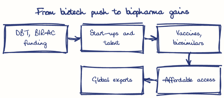 Hand-drawn diagram: From biotech push to biopharma gains. From biotech push to biopharma gains. Flow: DBT, BIRAC funding → Start-ups and talent → Vaccines, biosimilars → Affordable access → Global exports
