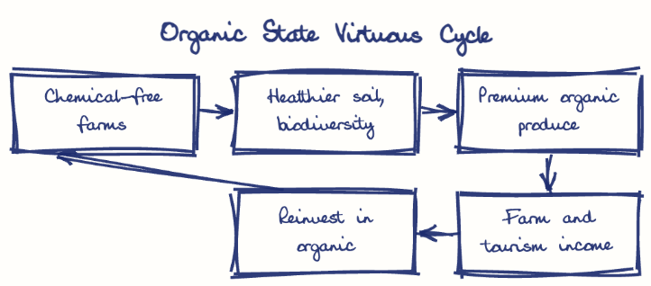 Hand-drawn diagram: Organic State Virtuous Cycle. Organic State Virtuous Cycle. Flow: Chemical-free farms → Healthier soil, biodiversity → Premium organic produce → Farm and tourism income → Reinvest in organic → (back to start)