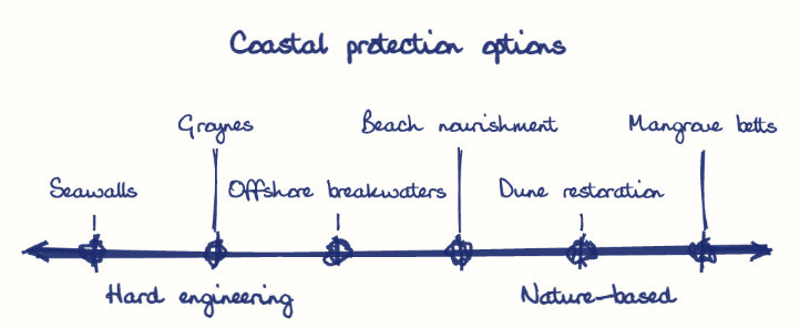Hand-drawn diagram: Coastal protection options. Coastal protection options. Diagram (spectrum): Coastal protection options; Hard engineering; Nature-based; Seawalls; Groynes; Offshore breakwaters; Beach nourishment; Dune restoration; Mangrove belts