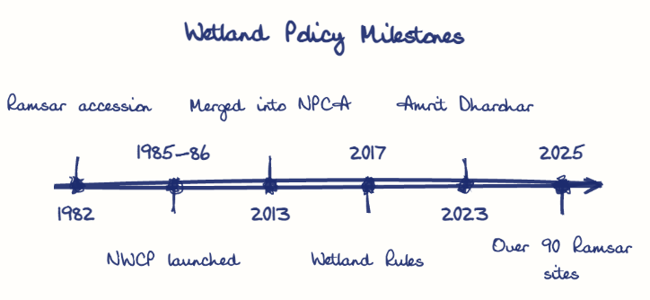 Hand-drawn diagram: Wetland Policy Milestones. Wetland Policy Milestones. Diagram (timeline): Wetland Policy Milestones; 1982; Ramsar accession; 1985-86; NWCP launched; 2013; Merged into NPCA; 2017; Wetland Rules; 2023; Amrit Dharohar; 2025