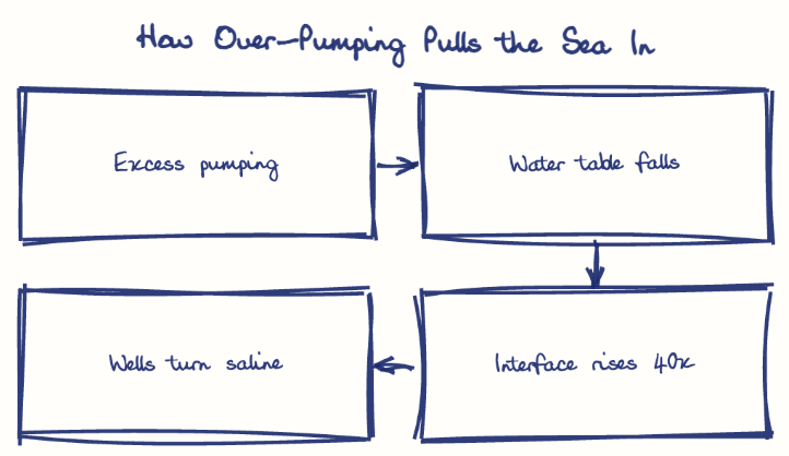 Hand-drawn diagram: How Over-Pumping Pulls the Sea In. How Over-Pumping Pulls the Sea In. Flow: Excess pumping → Water table falls → Interface rises 40x → Wells turn saline