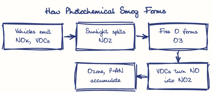 Hand-drawn diagram: How Photochemical Smog Forms. How Photochemical Smog Forms. Flow: Vehicles emit NOx, VOCs → Sunlight splits NO2 → Free O forms O3 → VOCs turn NO into NO2 → Ozone, PAN accumulate