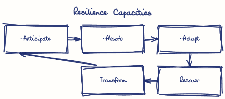 Hand-drawn diagram: Resilience Capacities. Resilience Capacities. Flow: Anticipate → Absorb → Adapt → Recover → Transform → (back to start)