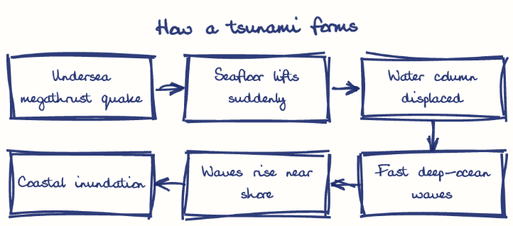 Hand-drawn diagram: How a tsunami forms. How a tsunami forms. Flow: Undersea megathrust quake → Seafloor lifts suddenly → Water column displaced → Fast deep-ocean waves → Waves rise near shore → Coastal inundation