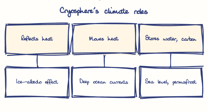 Hand-drawn diagram: Cryosphere's climate roles. Cryosphere's climate roles. Diagram (tree): Cryosphere's climate roles; Reflects heat; Ice-albedo effect; Moves heat; Deep ocean currents; Stores water, carbon; Sea level, permafrost