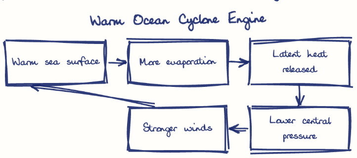 Hand-drawn diagram: Warm Ocean Cyclone Engine. Warm Ocean Cyclone Engine. Flow: Warm sea surface → More evaporation → Latent heat released → Lower central pressure → Stronger winds → (back to start)