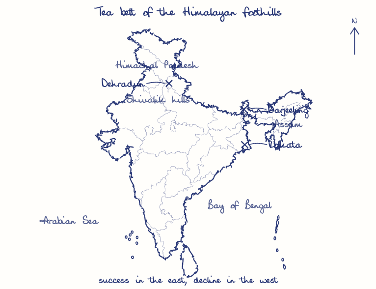 Hand-drawn map: Tea belt of the Himalayan foothills. Marked: Darjeeling, Dehradun, Kolkata.