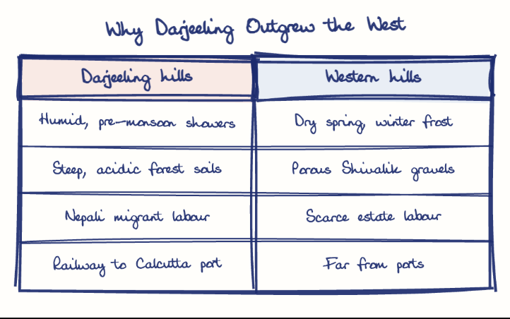 Hand-drawn diagram: Why Darjeeling Outgrew the West. Why Darjeeling Outgrew the West. Comparison of Darjeeling hills and Western hills