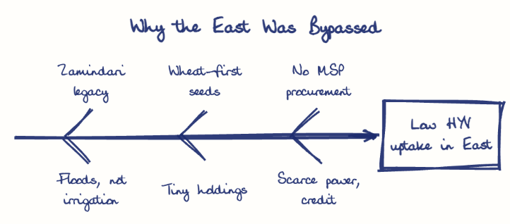 Hand-drawn diagram: Why the East Was Bypassed. Why the East Was Bypassed. Diagram (fishbone): Why the East Was Bypassed; Low HYV uptake in East; Zamindari legacy; Floods, not irrigation; Wheat-first seeds; Tiny holdings; No MSP procurement; Scarce power, credit
