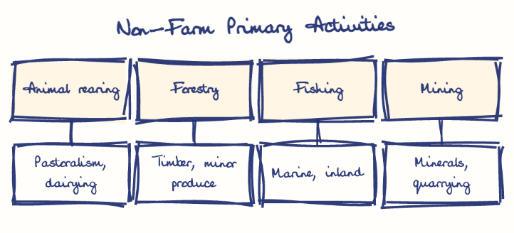 Hand-drawn diagram: Non-Farm Primary Activities. Non-Farm Primary Activities. Diagram (tree): Non-Farm Primary Activities; Animal rearing; Pastoralism, dairying; Forestry; Timber, minor produce; Fishing; Marine, inland; Mining; Minerals, quarrying