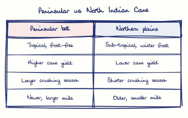 Hand-drawn diagram: Peninsular vs North Indian Cane. Peninsular vs North Indian Cane. Comparison of Peninsular belt and Northern plains