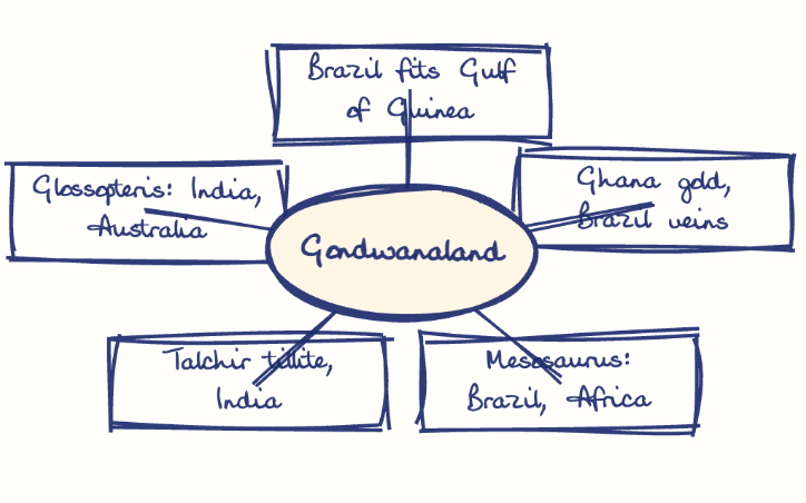 Hand-drawn diagram: Gondwanaland's matching evidence. Mind map. Gondwanaland: Brazil fits Gulf of Guinea; Ghana gold, Brazil veins; Mesosaurus: Brazil, Africa; Talchir tillite, India; Glossopteris: India, Australia