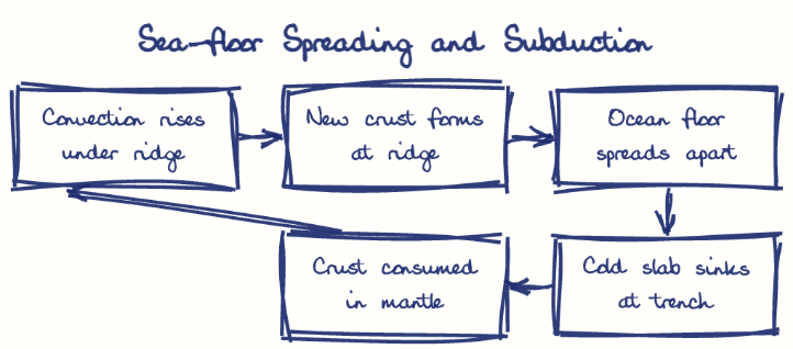 Hand-drawn diagram: Sea-floor Spreading and Subduction. Sea-floor Spreading and Subduction. Flow: Convection rises under ridge → New crust forms at ridge → Ocean floor spreads apart → Cold slab sinks at trench → Crust consumed in mantle → (back to start)