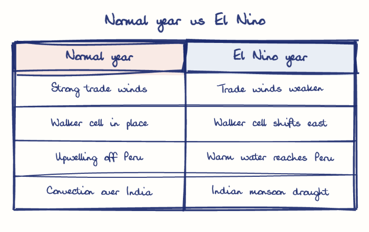 Hand-drawn diagram: Normal year vs El Nino. Normal year vs El Nino. Comparison of Normal year and El Nino year
