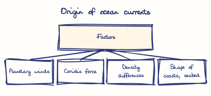 Hand-drawn diagram: Origin of ocean currents. Origin of ocean currents. Diagram (tree): Origin of ocean currents; Factors; Planetary winds; Coriolis force; Density differences; Shape of coasts, seabed