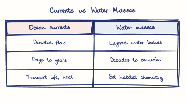 Hand-drawn diagram: Currents vs Water Masses. Currents vs Water Masses. Comparison of Ocean currents and Water masses