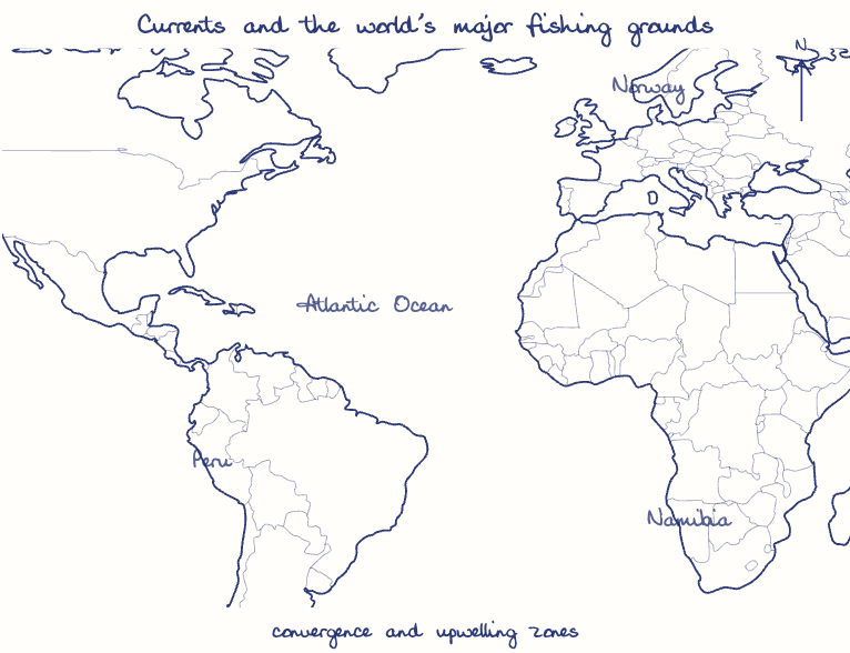Hand-drawn map: Currents and the world's major fishing grounds. Marked: .