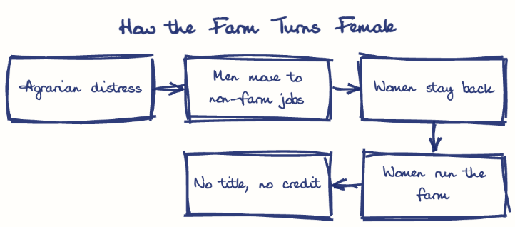 Hand-drawn diagram: How the Farm Turns Female. How the Farm Turns Female. Flow: Agrarian distress → Men move to non-farm jobs → Women stay back → Women run the farm → No title, no credit