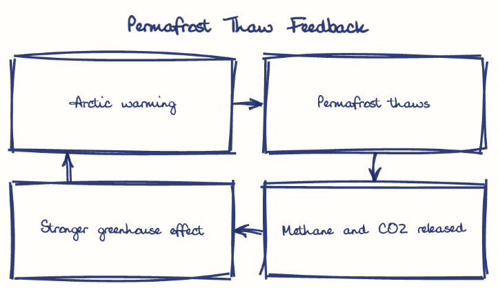 Hand-drawn diagram: Permafrost Thaw Feedback. Permafrost Thaw Feedback. Flow: Arctic warming → Permafrost thaws → Methane and CO2 released → Stronger greenhouse effect → (back to start)