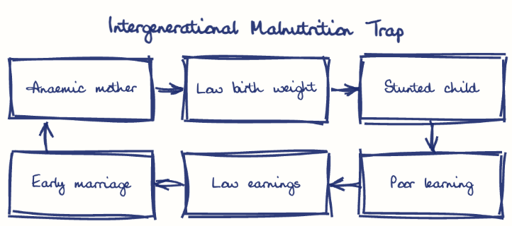 Hand-drawn diagram: Intergenerational Malnutrition Trap. Intergenerational Malnutrition Trap. Flow: Anaemic mother → Low birth weight → Stunted child → Poor learning → Low earnings → Early marriage → (back to start)